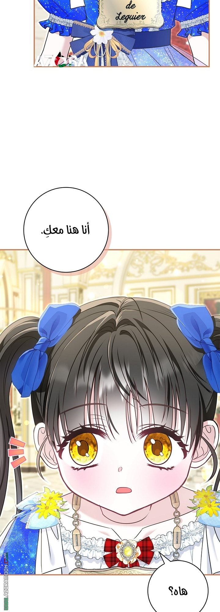الصفحة 43