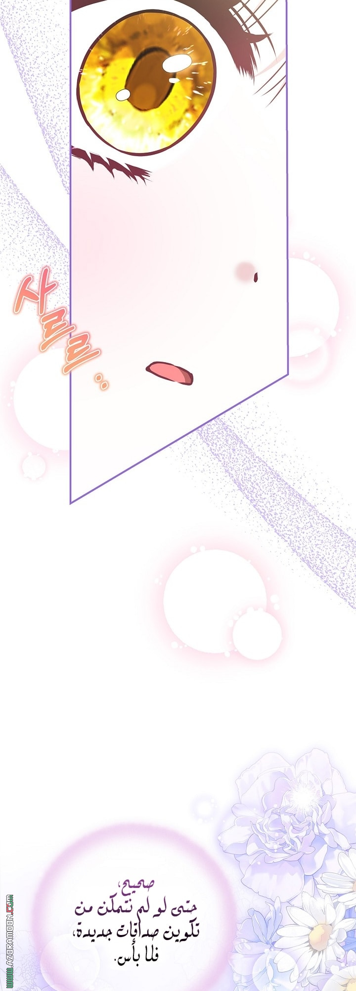 الصفحة 48