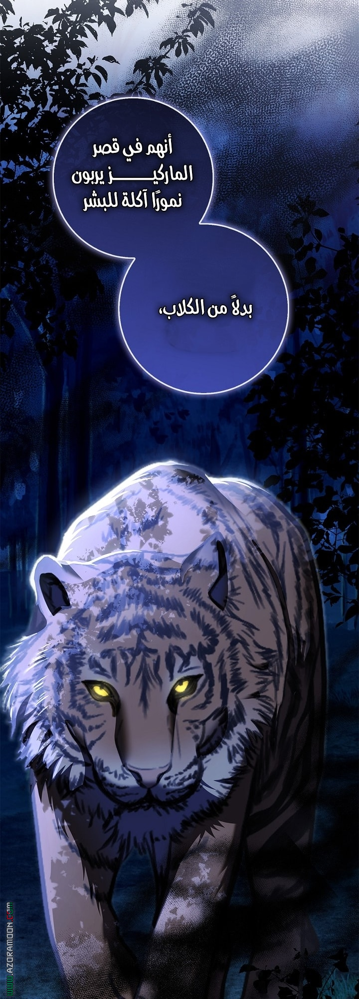 الصفحة 11