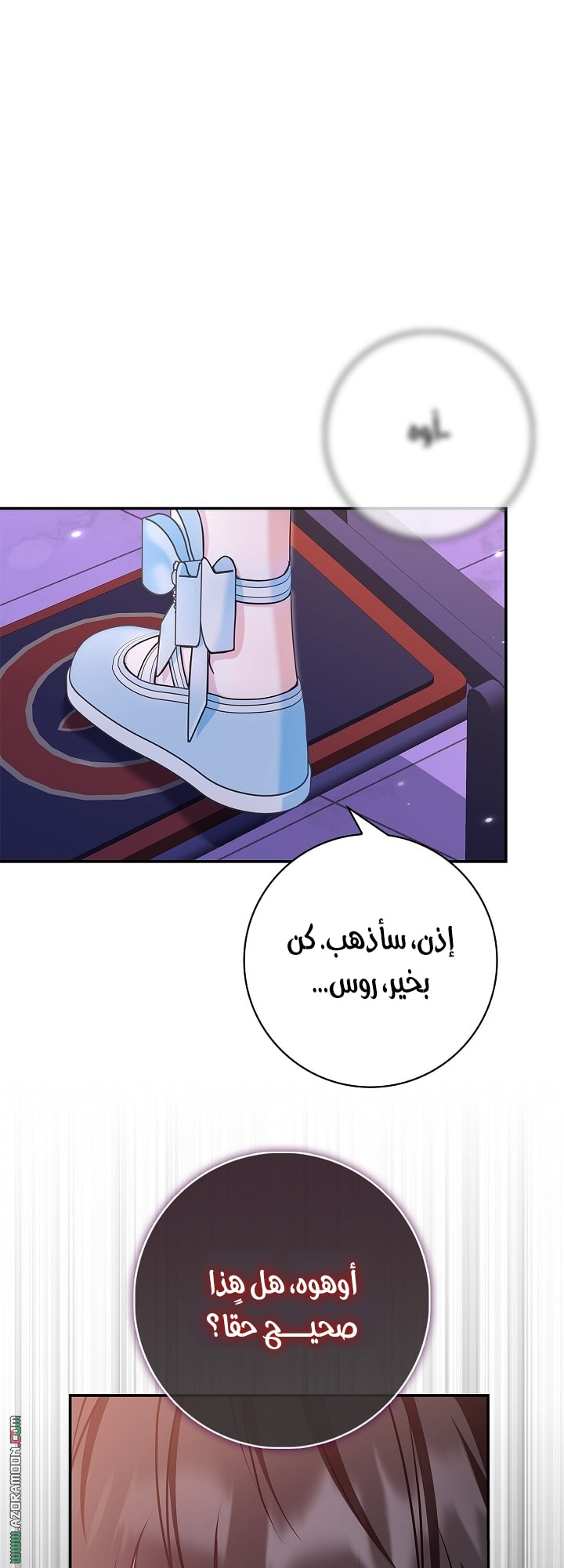 الصفحة 17