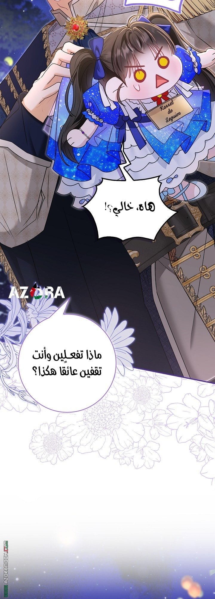 الصفحة 27