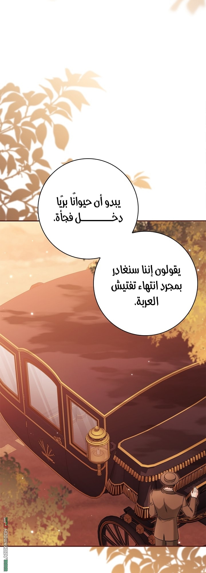 الصفحة 63