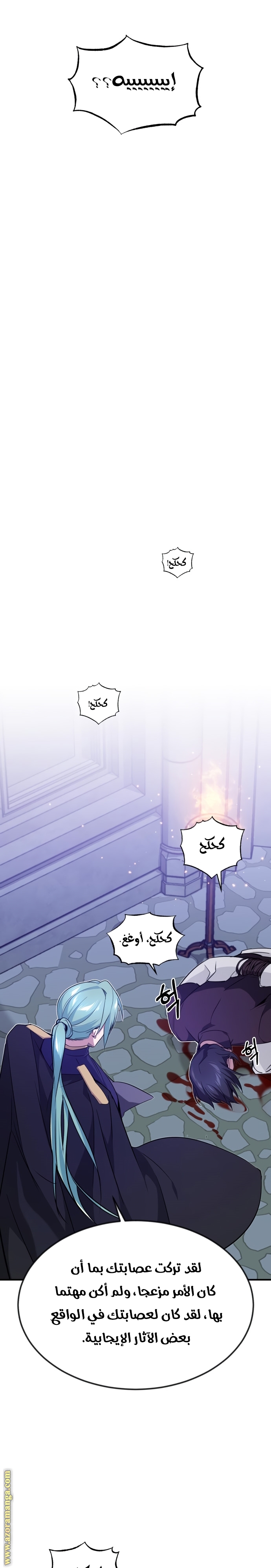الصفحة 17