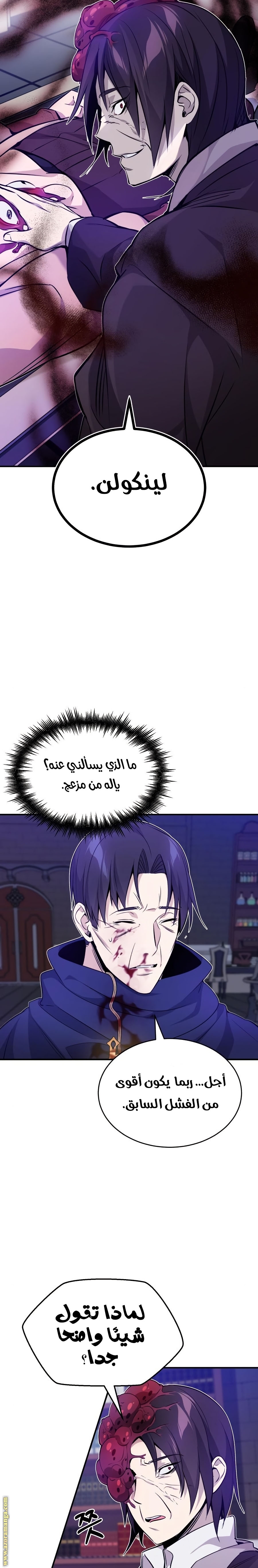 الصفحة 13