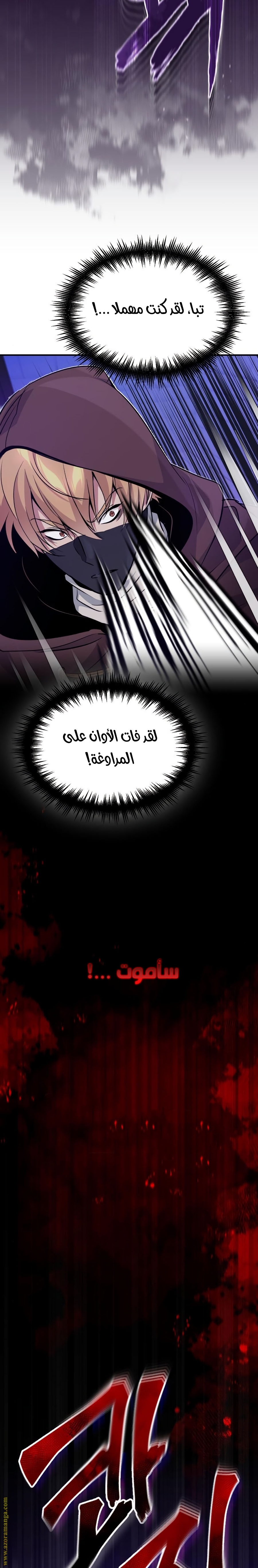 الصفحة 27