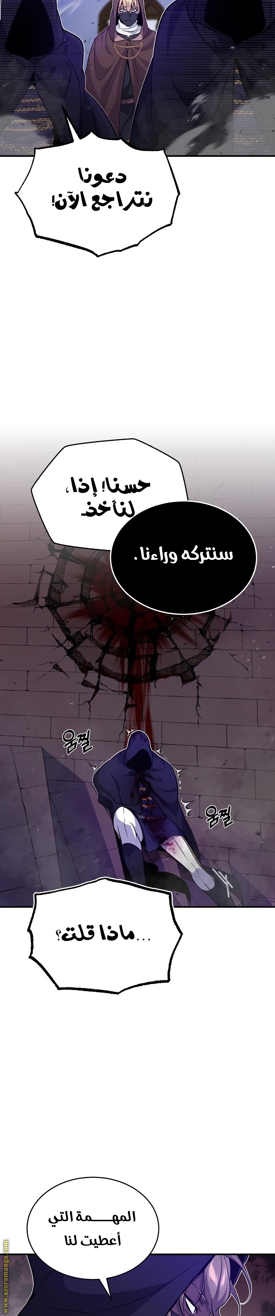 الصفحة 29