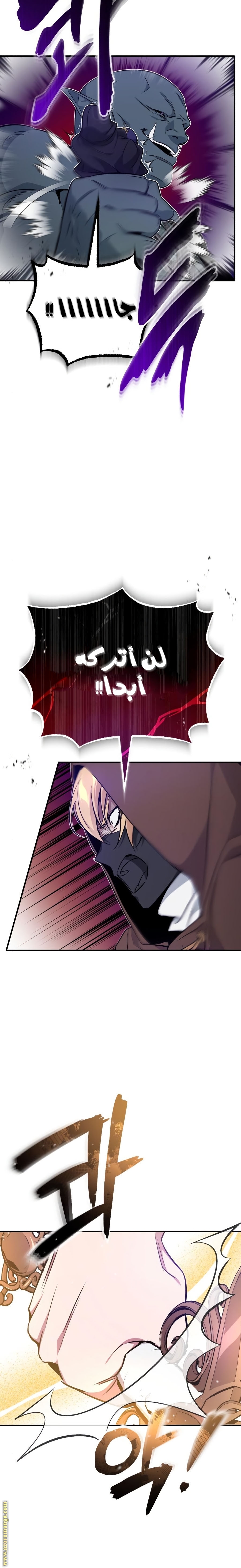 الصفحة 38