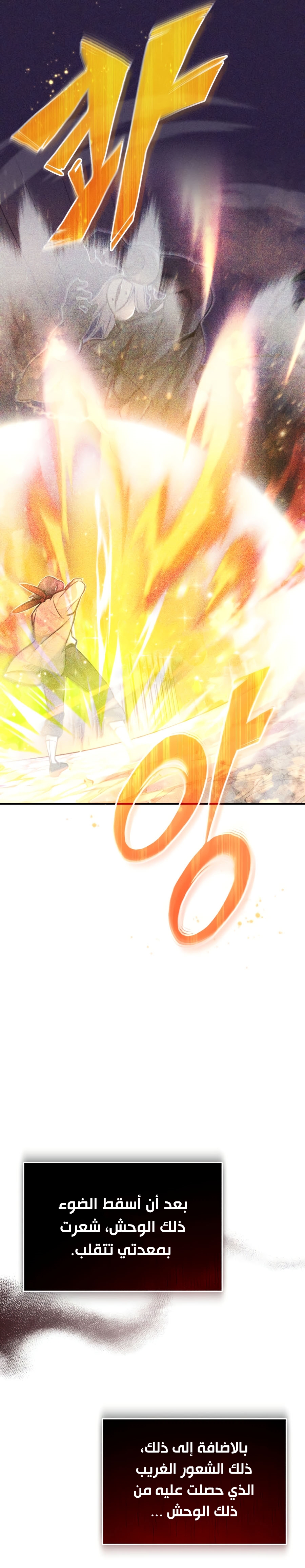 الصفحة 31