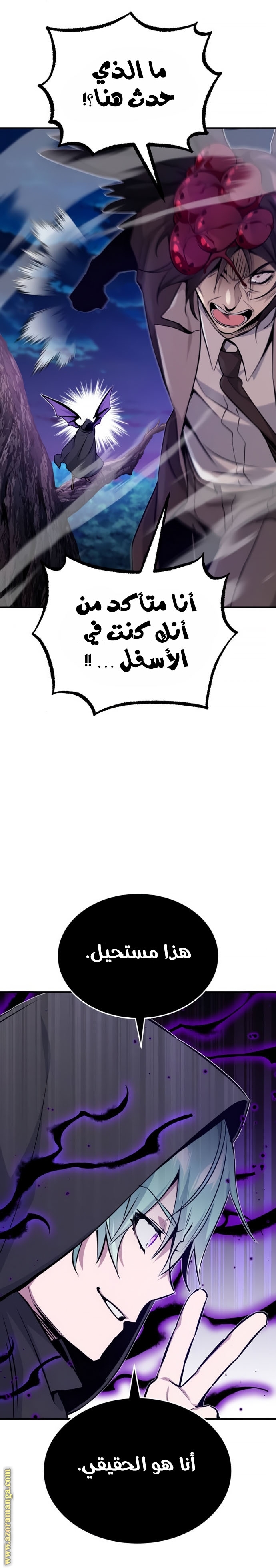 الصفحة 17