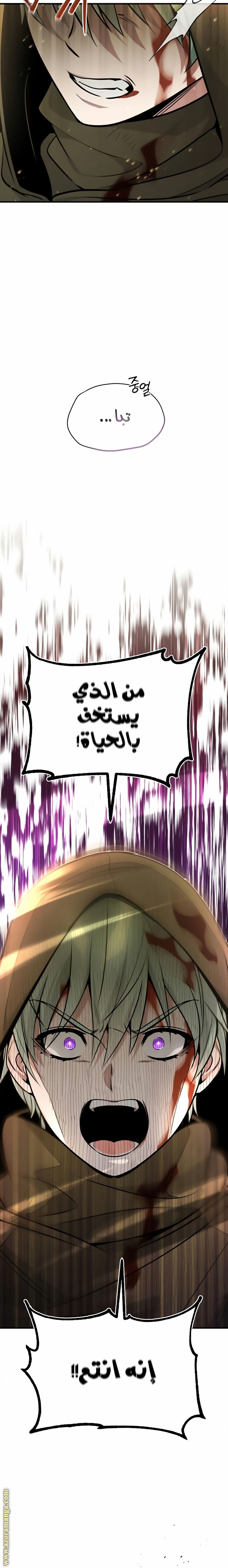 الصفحة 12