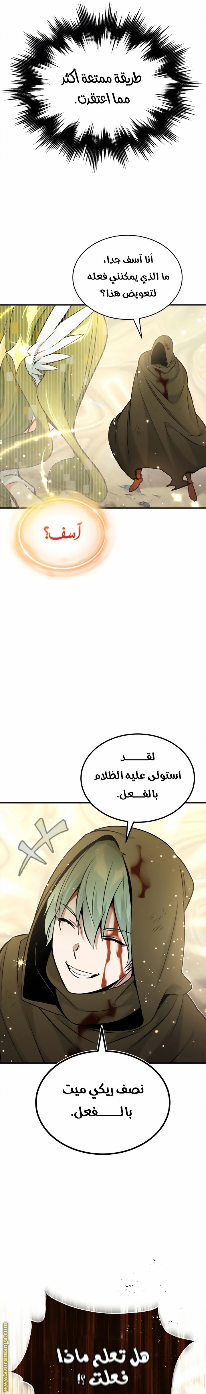 الصفحة 17