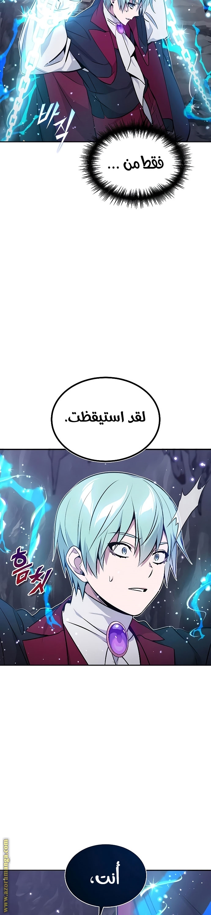 الصفحة 29