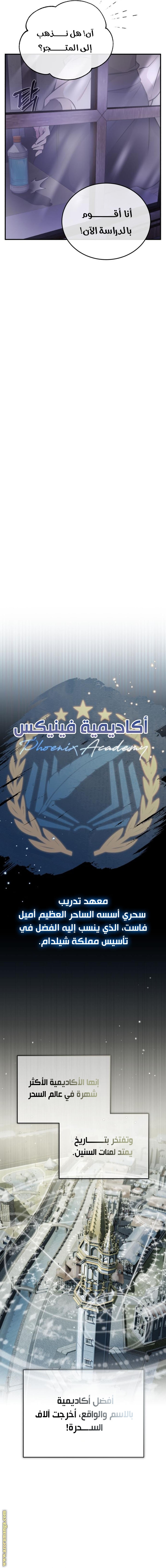 الصفحة 17