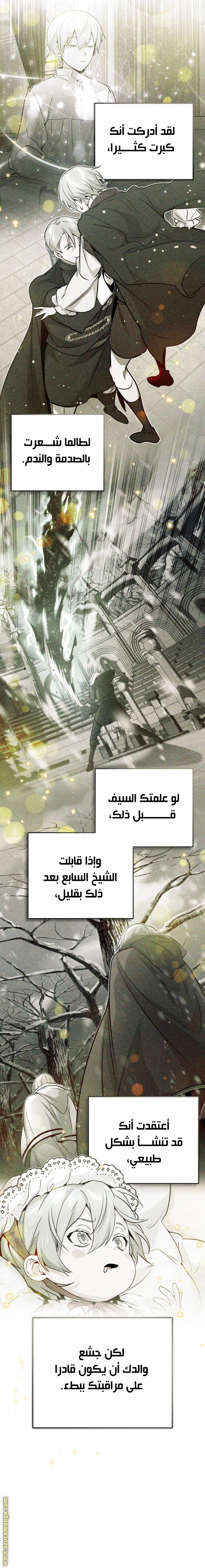 الصفحة 25