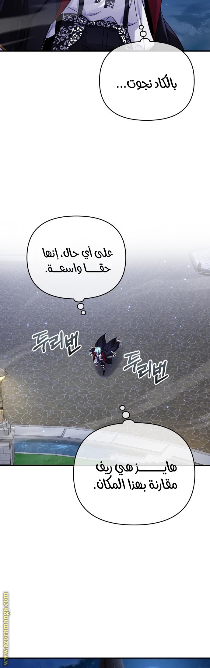 الصفحة 17