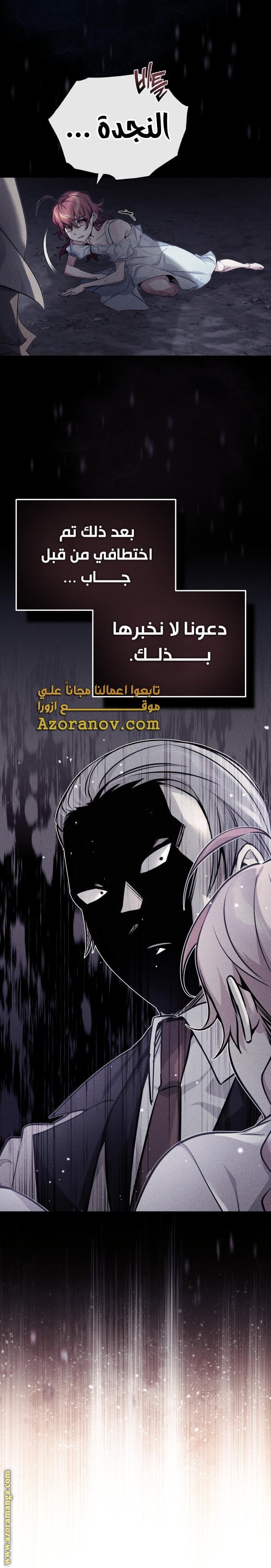 الصفحة 13