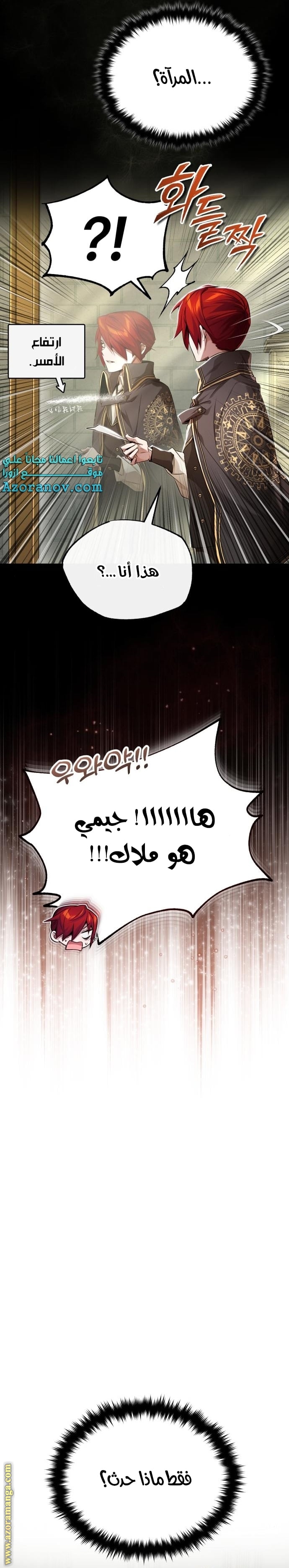 الصفحة 29