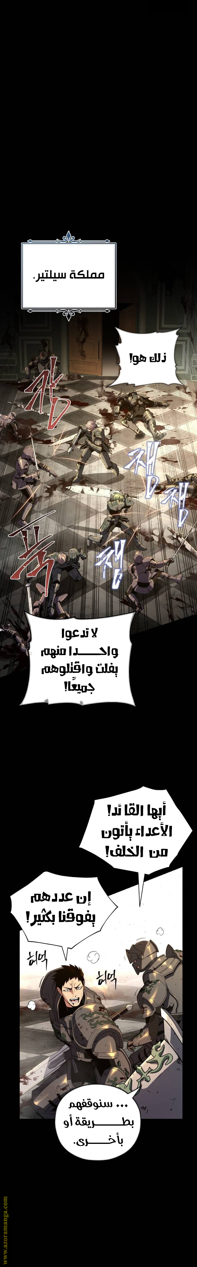 الصفحة 17