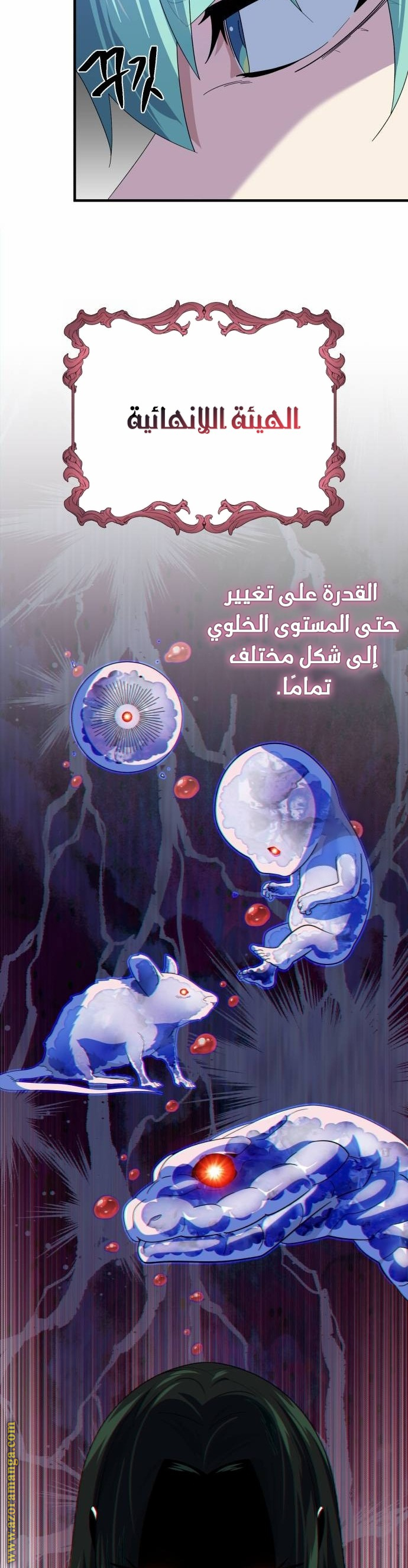 الصفحة 25