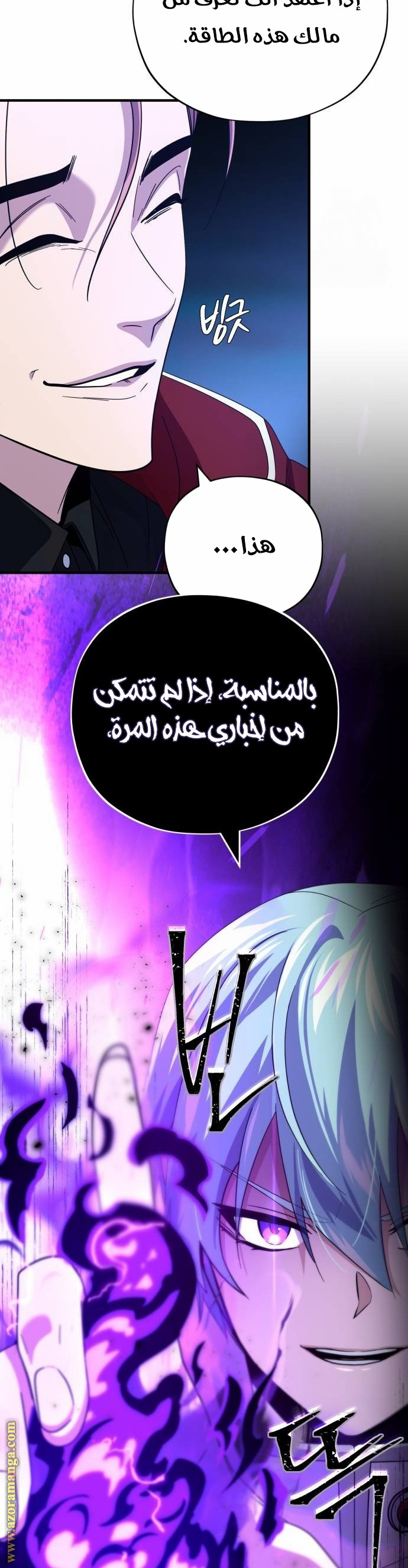 الصفحة 29