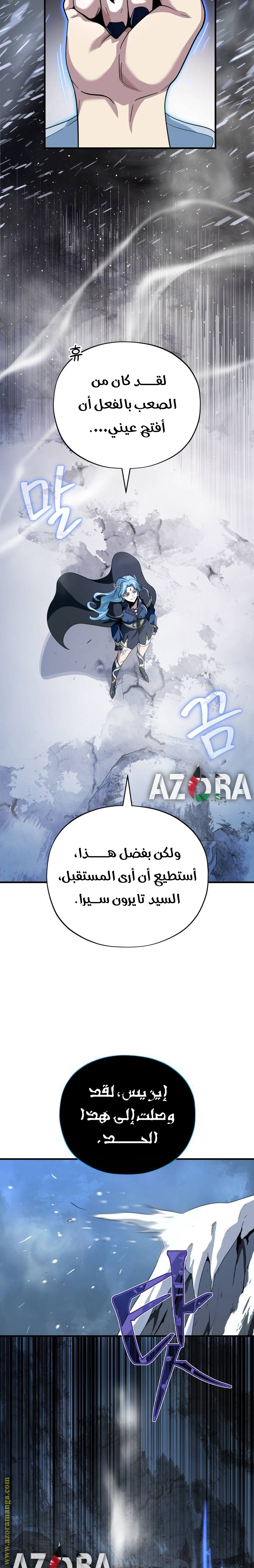 الصفحة 17