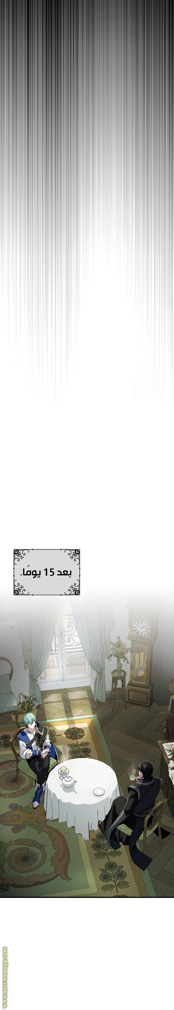 الصفحة 27