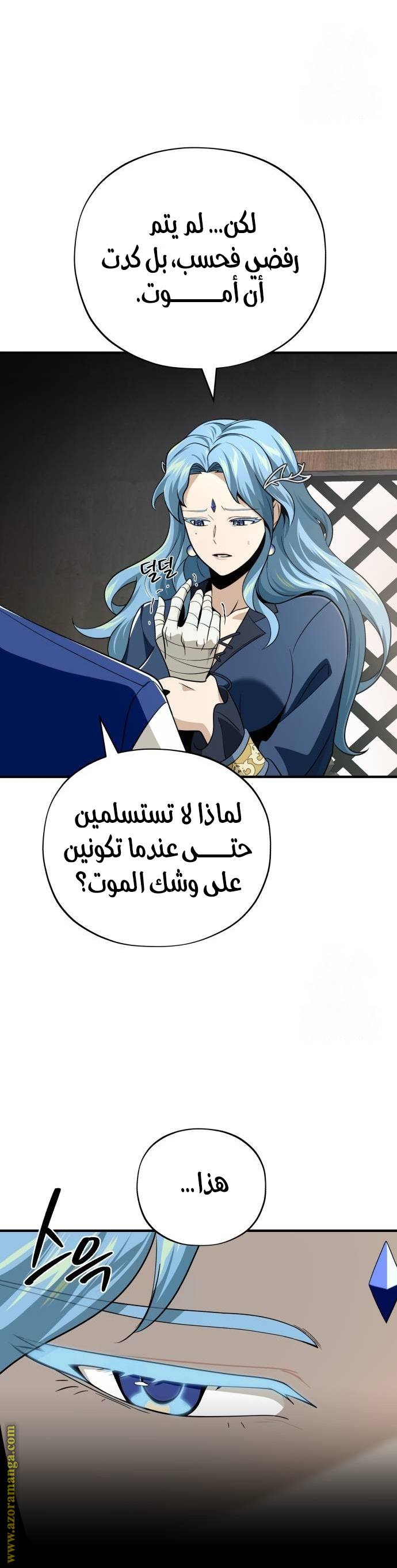الصفحة 25