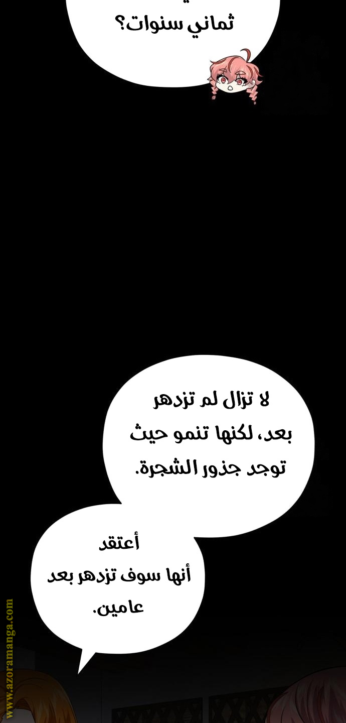 الصفحة 24