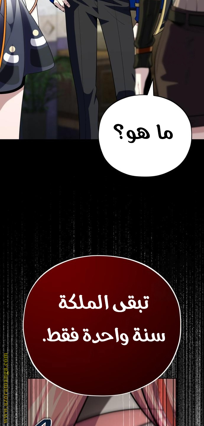 الصفحة 29