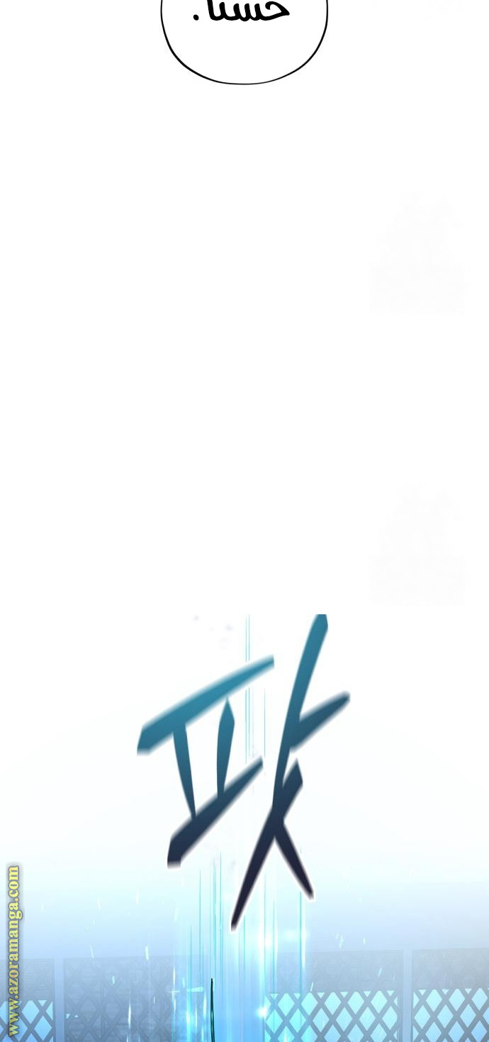 الصفحة 113