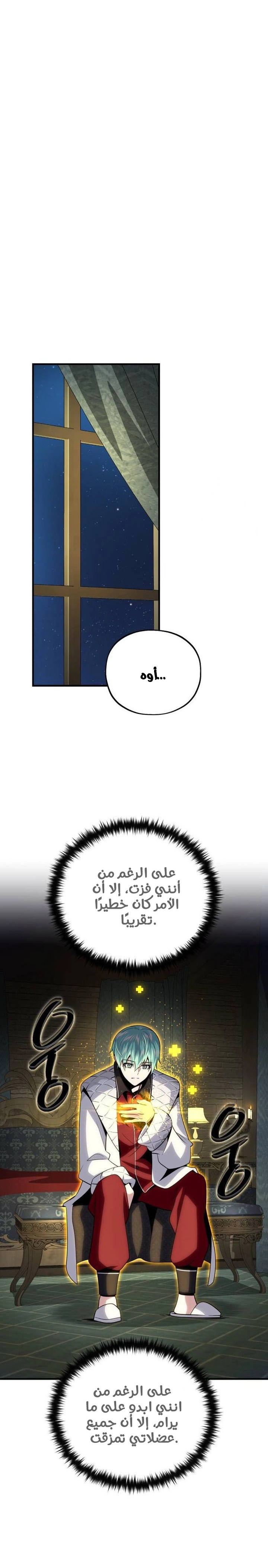الصفحة 12