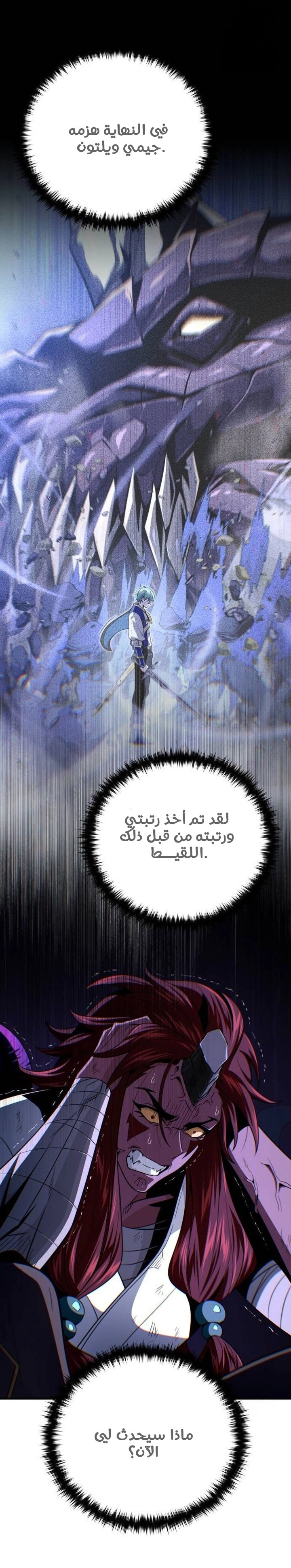 الصفحة 20