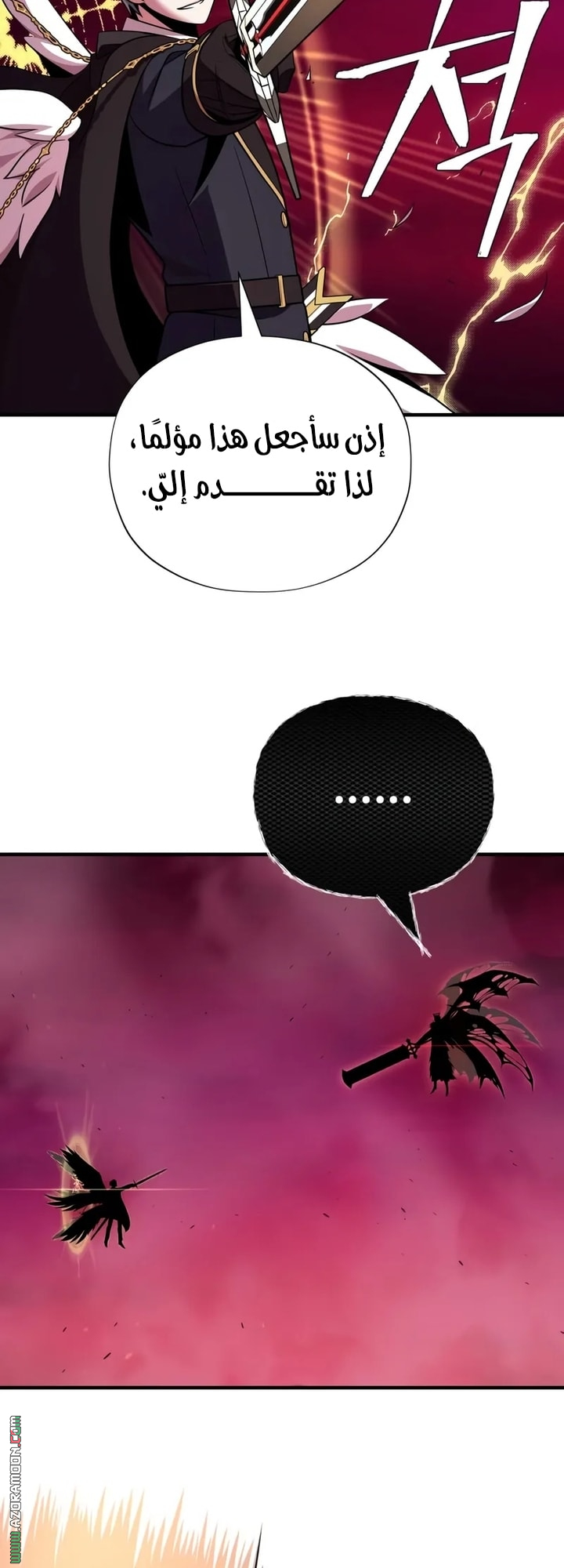 الصفحة 13