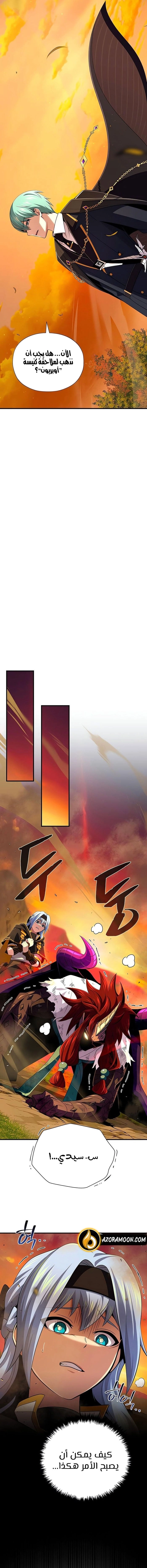 الصفحة 17