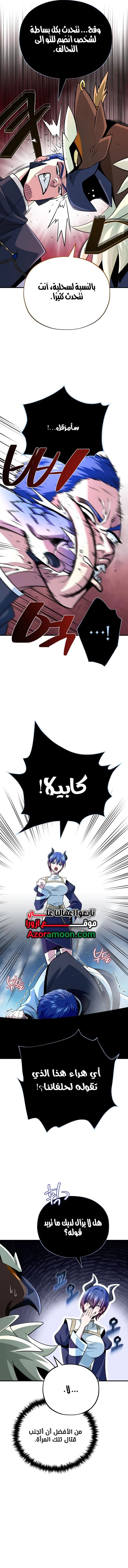 الصفحة 17