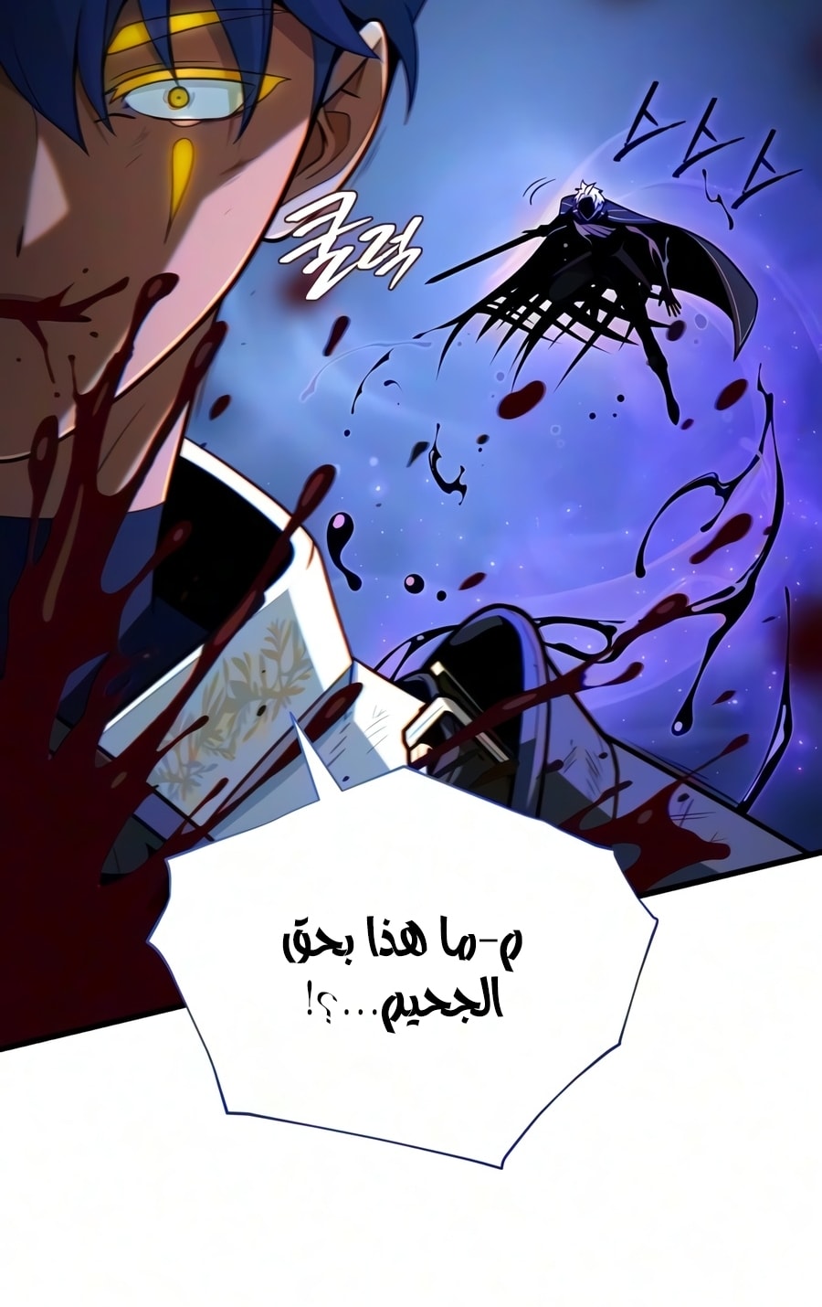 الصفحة 13