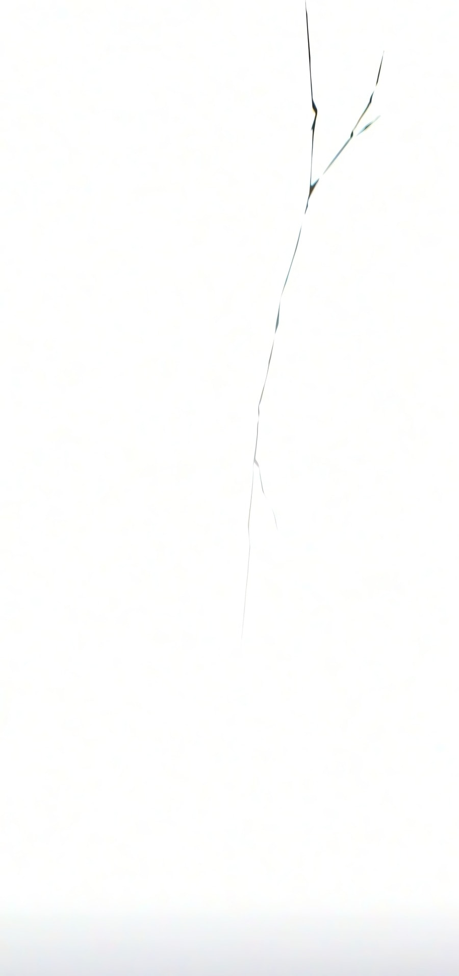 الصفحة 53