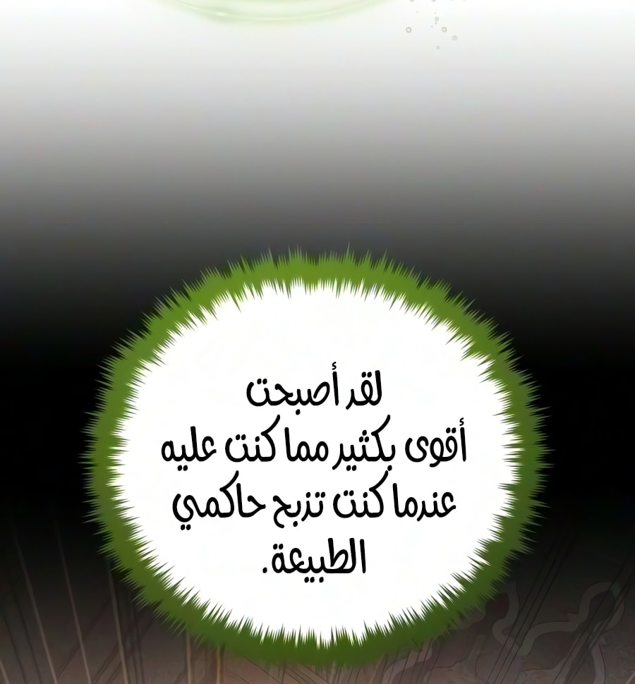 الصفحة 85
