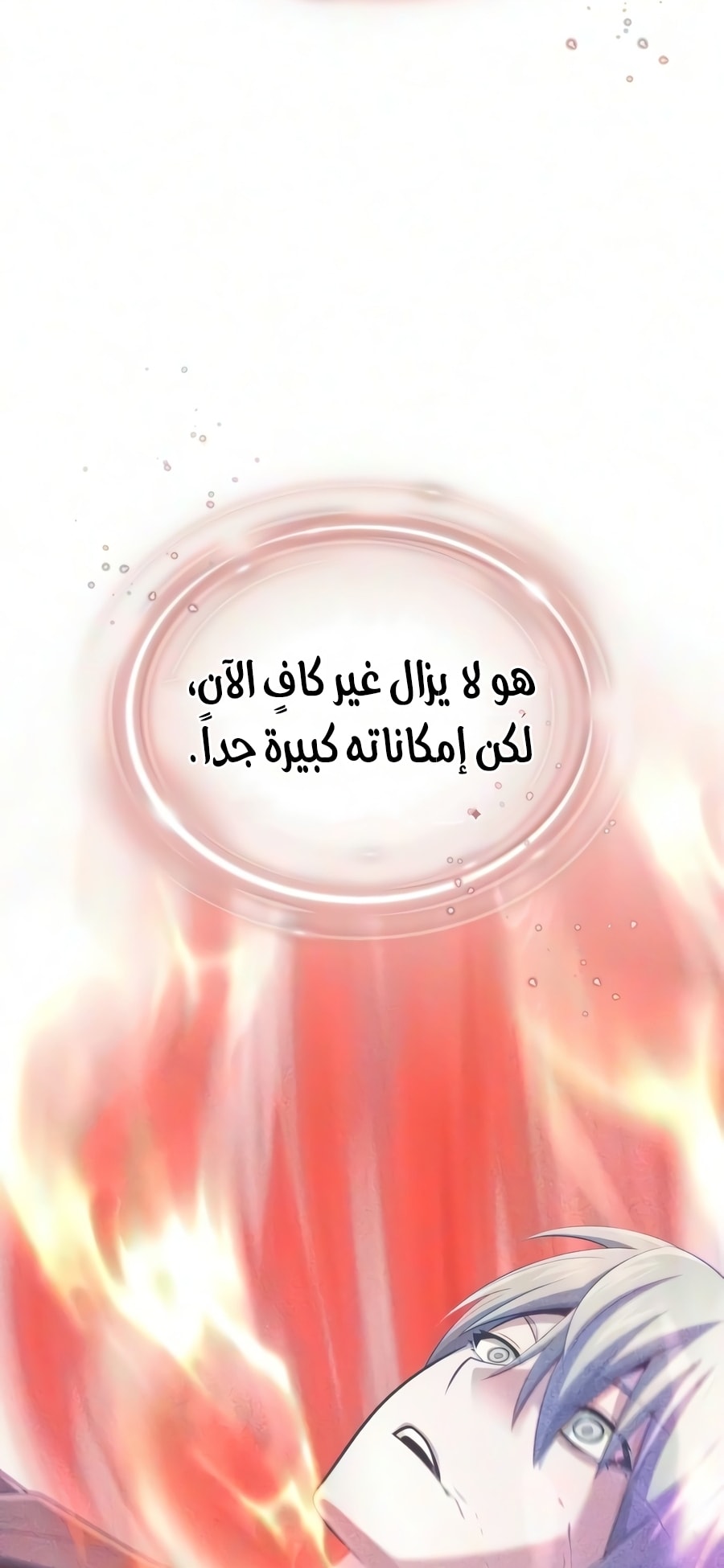 الصفحة 91