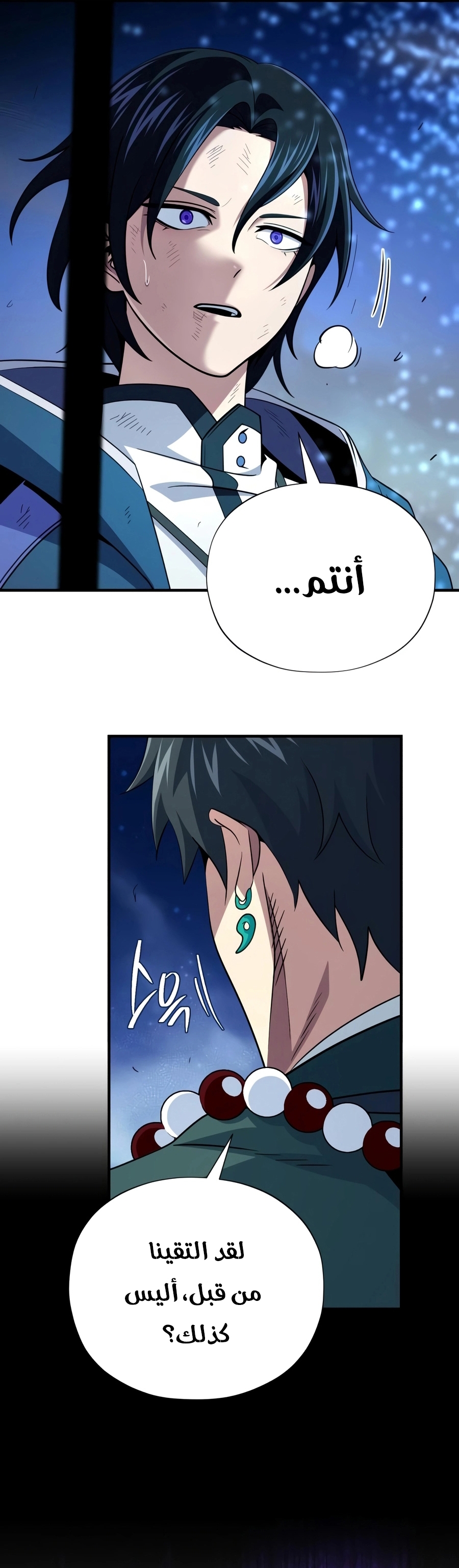الصفحة 29