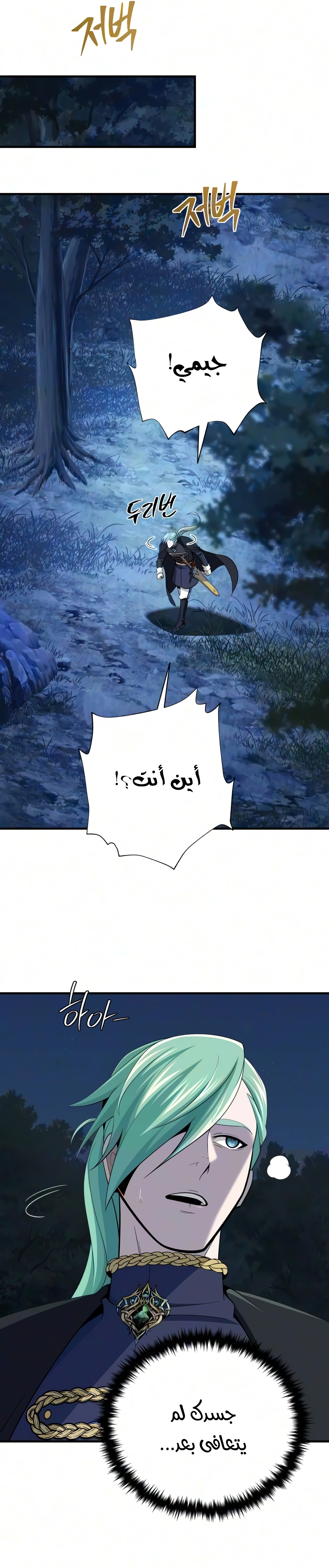 الصفحة 11