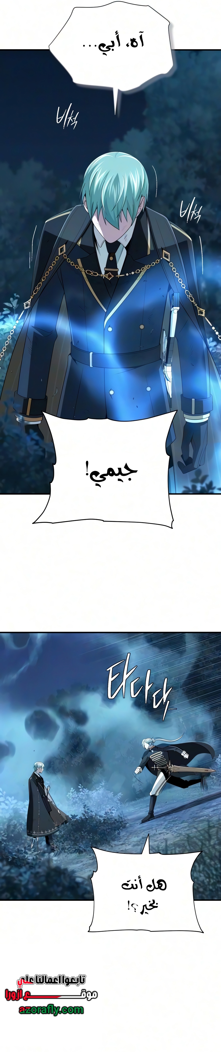 الصفحة 13