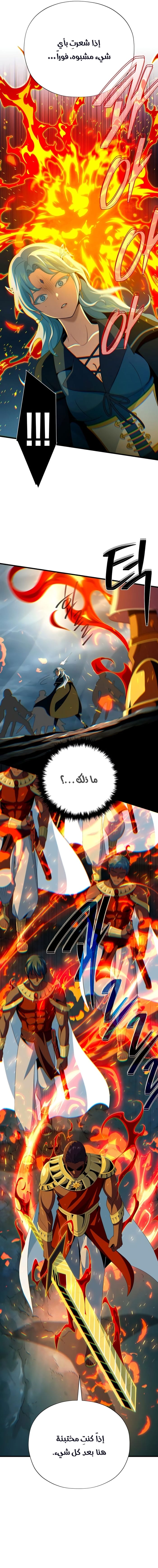 الصفحة 17