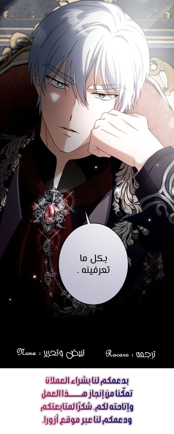 الصفحة 13