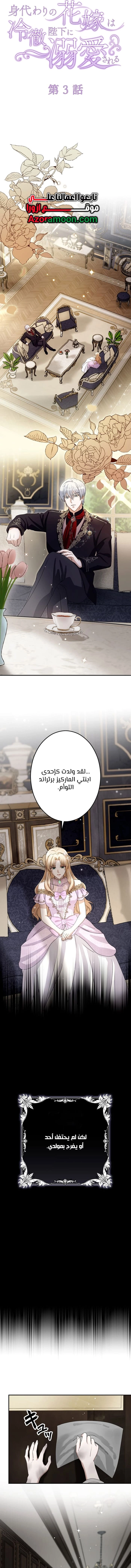 الصفحة 3
