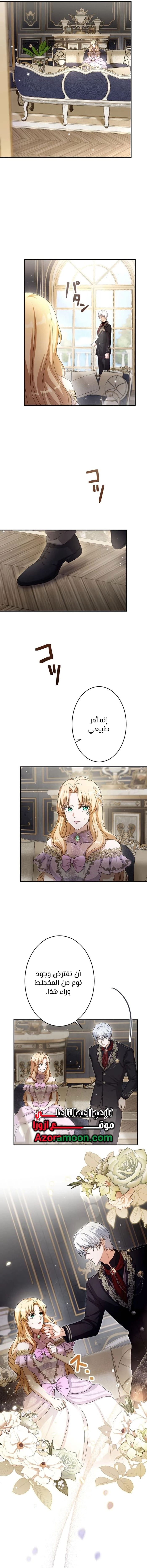الصفحة 13