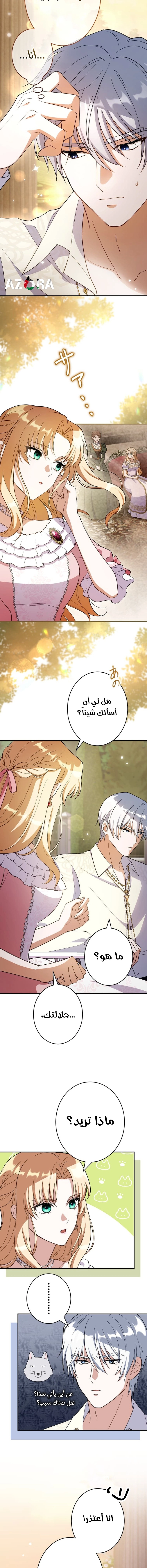 الصفحة 11