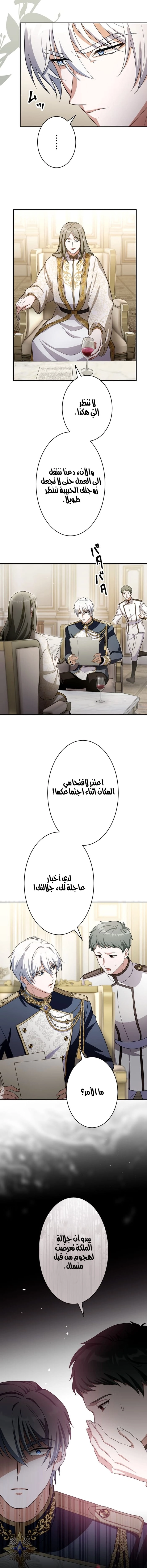 الصفحة 14