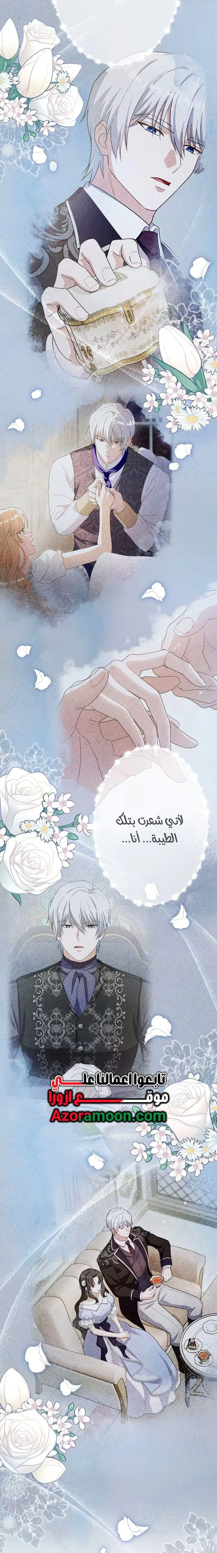 الصفحة 17