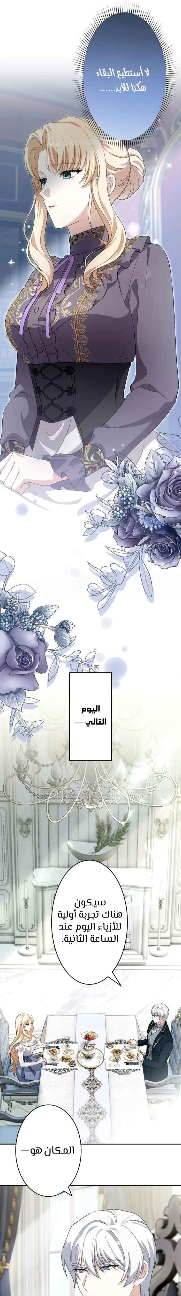 الصفحة 19